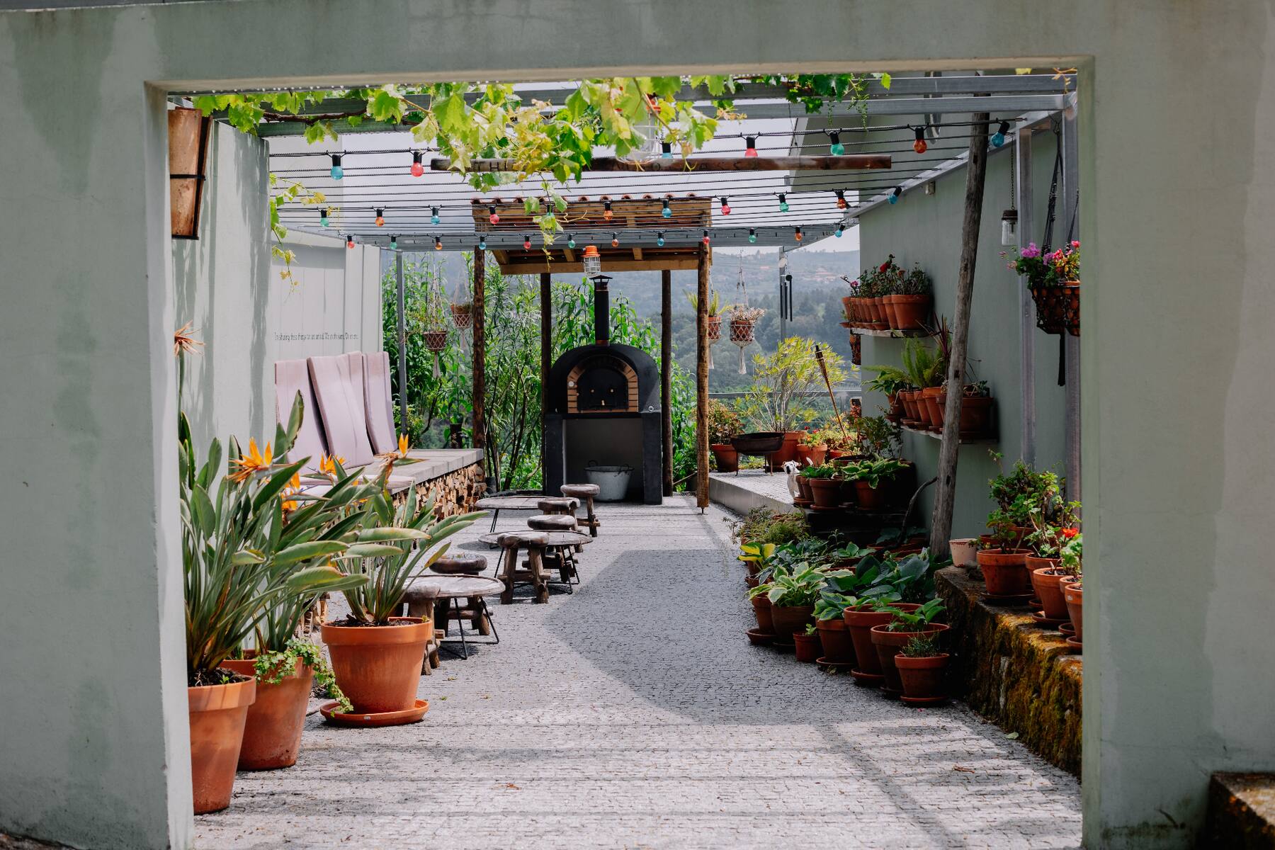 Pergola with pizza oven and potted plants